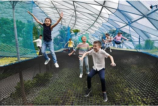 Bouncing Nets 520x350px